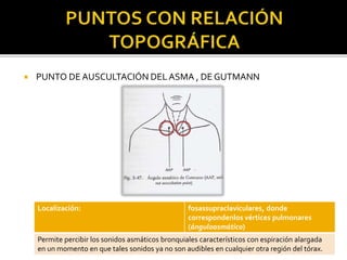  PUNTO DEAUSCULTACIÓN DELASMA , DE GUTMANN
Localización: fosassupraclaviculares, donde
correspondenlos vértices pulmonares
(ánguloasmático)
Permite percibir los sonidos asmáticos bronquiales característicos con espiración alargada
en un momento en que tales sonidos ya no son audibles en cualquier otra región del tórax.
 