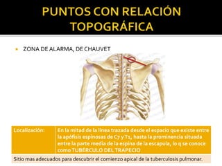  ZONA DEALARMA, DE CHAUVET
Localización: En la mitad de la línea trazada desde el espacio que existe entre
la apófisis espinosas de C7 yT1, hasta la prominencia situada
entre la parte media de la espina de la escapula, lo q se conoce
comoTUBÉRCULO DELTRAPECIO
Sitio mas adecuados para descubrir el comienzo apical de la tuberculosis pulmonar.
 