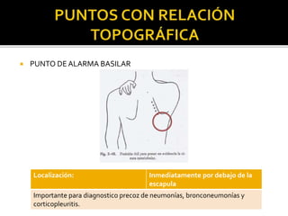  PUNTO DEALARMA BASILAR
Localización: Inmediatamente por debajo de la
escapula
Importante para diagnostico precoz de neumonías, bronconeumonías y
corticopleuritis.
 