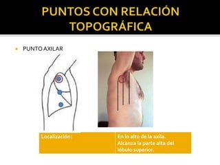  PUNTOAXILAR
Localización: En lo alto de la axila.
Alcanza la parte alta del
lóbulo superior.
 