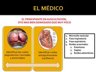 EL PRINCIPIANTE EN AUSCULTACIÒN,
OYE MÀS BIEN DEMASIADO QUE MUY POCO
Identificar los ruidos
respiratorios ( normales
y amormales)
Identificar ruidos
extrapulmonares
(cardiacos)
1. Murmullo vesicular
2. Fase inspiratorio
3. Fase espiratoria
4. Ruidos anormales:
1. Estertores
2. Soplos
3. Ruidos adventicios
 