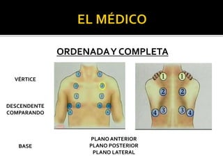 ORDENADAY COMPLETA
VÉRTICE
DESCENDENTE
COMPARANDO
BASE
PLANO ANTERIOR
PLANO POSTERIOR
PLANO LATERAL
 