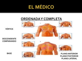 ORDENADAY COMPLETA
VÉRTICE
DESCENDENTE
COMPARANDO
BASE PLANO ANTERIOR
PLANO POSTERIOR
PLANO LATERAL
 