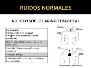 RUIDO O SOPLO LARINGOTRAQUEAL
Localización:
Cara anterior nivel traqueal
Cara posterior espacios escapulo
vertebrales
Origen: paso del aire a través de las vías
aéreas altas
Intensidad:Tanto inspiración como
espiración
Tonalidad elevada
Imitar soplando con la mano o cartón en
forma de tubo.
 
