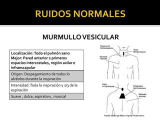 MURMULLOVESICULAR
Localización:Todo el pulmón sano
Mejor: Pared anterior 2 primeros
espacios intercostales, región axilar e
infraescapular
Origen: Despegamiento de todos lo
alvéolos durante la inspiración
Intensidad:Toda la inspiración y 1/3 de la
espiración
Suave , dulce, aspirativo , musical
 