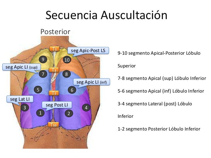 Auscultación Pulmonar Resumen