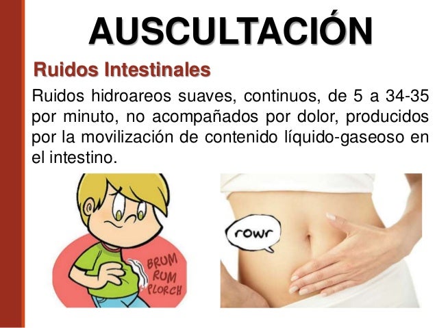 Ruidos En El Estomago En El Embarazo