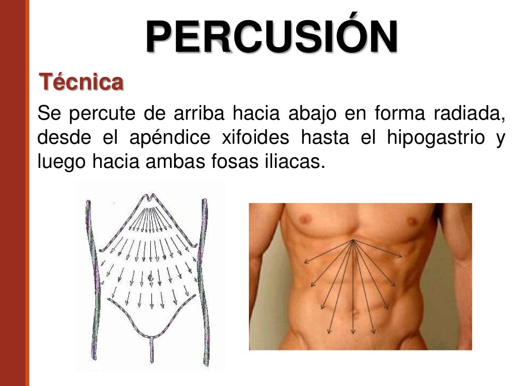 Auscultación y Percusión Abdominal