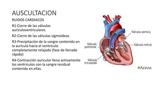 AUSCULTACION
RUIDOS CARDIACOS
R1-Cierre de las válvulas
auriculoventriculares
R2-Cierre de las válvulas sigmoideas
R3-Precipitación de la sangre contenida en
la aurícula hacia el ventrículo
completamente relajado (fase de llenado
rápido)
R4-Contracción auricular llena activamente
los ventrículos con la sangre residual
contenida en ellas.
 