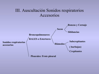 III. Auscultación Sonidos respiratorios Accesorios Sonidos respiratorios accesorios Broncopulmonares: RALES o Estertores Pleurales: Frote pleural Secos Húmedos Roncus y Cornaje Sibilancias Subcrepitantes  ( burbujas) Crepitantes 
