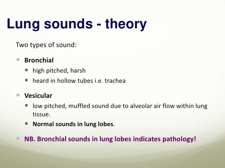 chest auscultation lung auscultation