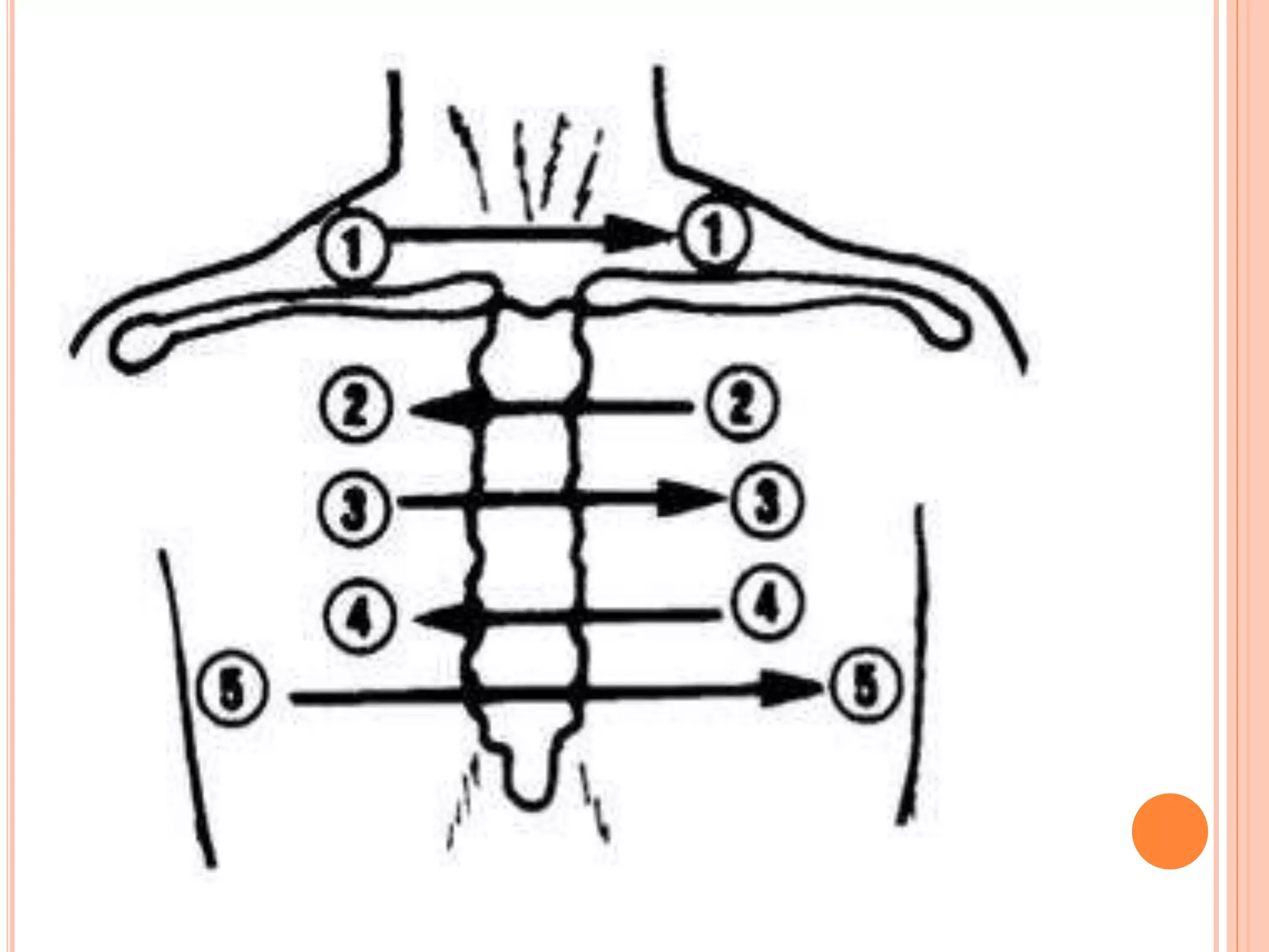 Auscultation | PPTX