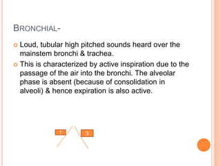 BRONCHIAL- 
 Loud, tubular high pitched sounds heard over the 
mainstem bronchi & trachea. 
 This is characterized by active inspiration due to the 
passage of the air into the bronchi. The alveolar 
phase is absent (because of consolidation in 
alveoli) & hence expiration is also active. 
1 3 
 