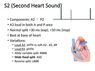 Comprehensive Guide to Cardiovascular Auscultation Techniques and ...