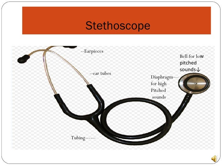 Auscultation Of Heart Sounds 4.5 Final