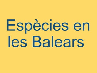   Espècies en les Balears    