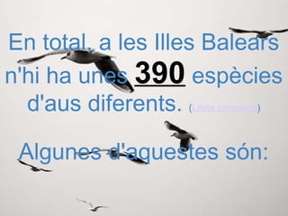 En total, a les Illes Balears n'hi ha unes  390  espècies d'aus diferents.  ( Llista completa ) Algunes d'aquestes són: 
