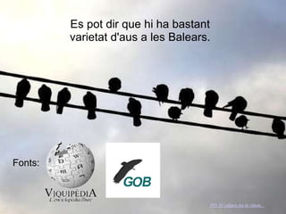 Es pot dir que hi ha bastant varietat d'aus a les Balears.   Fonts: PD: El pájaro es la clave... 