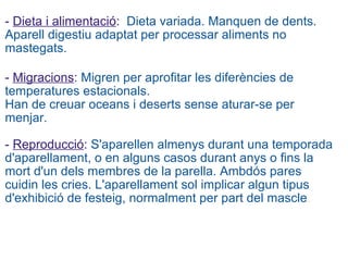   -  Dieta i alimentació :    Dieta variada. Manquen de dents. Aparell digestiu adaptat per processar aliments no mastegats. -  Migracions :   Migren per aprofitar les diferències de temperatures estacionals.  Han de creuar oceans i deserts sense aturar-se per menjar.   -  Reproducció :  S'aparellen almenys durant una temporada d'aparellament, o en alguns casos durant anys o fins la mort d'un dels membres de la parella. Ambdós pares cuidin les cries. L'aparellament sol implicar algun tipus d'exhibició de festeig, normalment per part del mascle .  