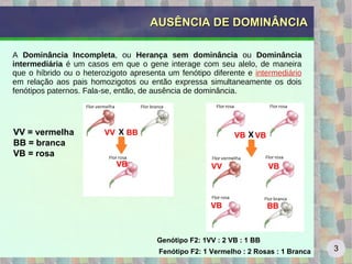 Ausencia de dominancia_e_codominancia | ODP
