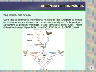 Ausencia de dominancia_e_codominancia | ODP