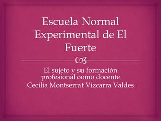 El sujeto y su formación
profesional como docente
Cecilia Montserrat Vizcarra Valdes
 