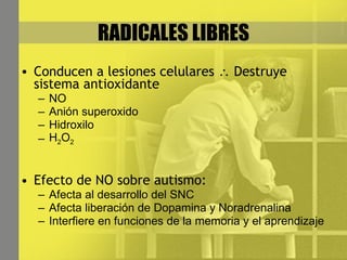 RADICALES LIBRES Conducen a lesiones celulares    Destruye sistema antioxidante NO Anión superoxido Hidroxilo H 2 O 2 Efecto de NO sobre autismo: Afecta al desarrollo del SNC Afecta liberación de Dopamina y Noradrenalina Interfiere en funciones de la memoria y el aprendizaje 