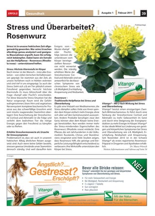 ERFOLG             Gesundheit                                                                     Ausgabe 1        Februar 2011              39


                                                                                                                                      Publireportage

Stress und Überarbeitet?
Rosenwurz
Stress ist in unserer hektischen Zeit allge-       Ereignis vom
genwärtig geworden. Wer seine Ursachen             Muster «Kampf
allerdings genau analysiert und geeigne-           oder      Flucht»
te Massnahmen ergreift, kann ihn erfolg-           folgt, können die
reich bekämpfen. Dabei kann ein Extrakt            unterdessen vom
aus der Heilpflanze – Rosenwurz (Rhodio-           Körper bereitge-
la rosea) – unterstützend helfen.                  stellten Ressour-
                                                   cen nicht verwertet
Stress: Höchste Alarmstufe im Körper               werden. Die ständig
Noch immer ist der Mensch – trotz aller Evo-       erhöhten Werte der
lution – von vielen tierischen Verhaltenswei-      Stresshormone Cor-
sen geprägt. Sie stammen aus der Zeit, als         tisol und Adrenalin sind ver-
unsere Vorfahren noch in Höhlen wohnten            antwortlich für die klassi-
und sind tief in uns eingeprägt. So auch der       schen Symptome von
Stress: Sieht sich z.B. ein Tier plötzlich einem   chronischem Stress wie
Fressfeind gegenüber, herrscht höchste             z.B. Müdigkeit, Erschöpfung,
Alarmstufe. Es muss blitzschnell über die          Anspannung und Reizbarkeit.            Rosenwurz
Frage «Kampf oder Flucht?» entscheiden.
Für diese klassische Stress-Situation hat die      Rosenwurz –
Natur vorgesorgt: Kaum wird die Gefahr             Traditionelle Heilpflanze bei Stress und
wahrgenommen, lösen Hirn und vegetatives           Überarbeitung                                   Vitango® – Mit 2-fach Wirkung bei Stress
Nervensystem komplexe biochemische Pro-            Es gibt eine Vielzahl von Medikamenten, die     und Überarbeitung
zesse aus; das schwerfällige Grosshirn wird        Stress dämpfen sollen. Viele von ihnen spen-    Vitango® besitzt einen einzigartigen Zwei-
vom intuitiv reagierenden Stammhirn über-          den dem Körper einfach mehr Energie, ohne       fach-Wirkmechanismus. Es führt durch eine
lagert. Eine Ausschüttung der Stresshormo-         sich aber auf den Gemütszustand auszuwir-       Senkung der Stresshormone Cortisol und
ne Cortisol und Adrenalin ist die Folge und        ken. Andere Produkte beruhigen zwar den         Adrenalin zu mehr Gelassenheit im Geist
verleiht dem bedrohten Tier die nötige             Geist, können aber dem Körper keine Ener-       und durch eine Steigerung der Energiepro-
Energie, gegen den Fressfeind zu kämpfen           gie bereitstellen. Nun werden immer mehr        duktion zu mehr Energie im Körper. Vitango®
oder zu fliehen.                                   die Stress-mindernden Eigenschaften des         ist das ideale Mittel zur Linderung von geisti-
                                                   Rosenwurz (Rhodiola rosea) entdeckt. Eine       gen und körperlichen Symptomen bei Stress
Erhöhte Stresshormonwerte als Ursache              Pflanze, die seit Jahrhunderten in der Volks-   und Überarbeitung wie z.B. Müdigkeit, Er-
für Stresssymptome                                 medizin Russlands, Chinas und Skandina-         schöpfung, Reizbarkeit und Anspannung.
Problematisch ist, dass wir auch in unserem        viens eingesetzt wird. Viele Studien zeigen,    Seit November 2010 ist in der Schweiz
hektischen Alltag ähnlichen Reizen ausge-          dass Rosenwurz hilft, die geistige und kör-     Vitango® als erstes registriertes Rosenwurz-
setzt sind: Auch wenn keine Gefahr besteht,        perliche Leistungsfähigkeit entscheidend zu     Präparat in Drogerien und Apotheken erhält-
stressen gewisse Umstände unser Stammhirn          verbessern. Ihre Wirkstoffe unterstützen den    lich.                         Dr. Marco Würsch
dennoch ständig. Und weil daraufhin kein           Körper bei Stress.                                Weitere Informationen und Adresse auf Seite 54

Anzeigen
 