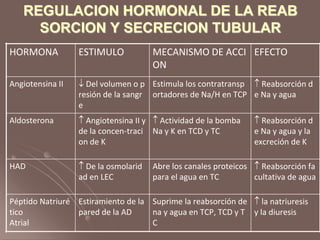 REGULACION HORMONAL DE LA REAB
SORCION Y SECRECION TUBULAR
HORMONA ESTIMULO MECANISMO DE ACCI
ON
EFECTO
Angiotensina II  Del volumen o p
resión de la sangr
e
Estimula los contratransp
ortadores de Na/H en TCP
 Reabsorción d
e Na y agua
Aldosterona  Angiotensina II y
de la concen-traci
on de K
 Actividad de la bomba
Na y K en TCD y TC
 Reabsorción d
e Na y agua y la
excreción de K
HAD  De la osmolarid
ad en LEC
Abre los canales proteicos
para el agua en TC
 Reabsorción fa
cultativa de agua
Péptido Natriuré
tico
Atrial
Estiramiento de la
pared de la AD
Suprime la reabsorción de
na y agua en TCP, TCD y T
C
 la natriuresis
y la diuresis
 