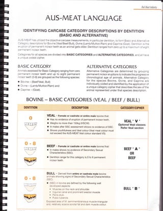 Mutton Class Ausmeat Handbook Australian Meat | PDF
