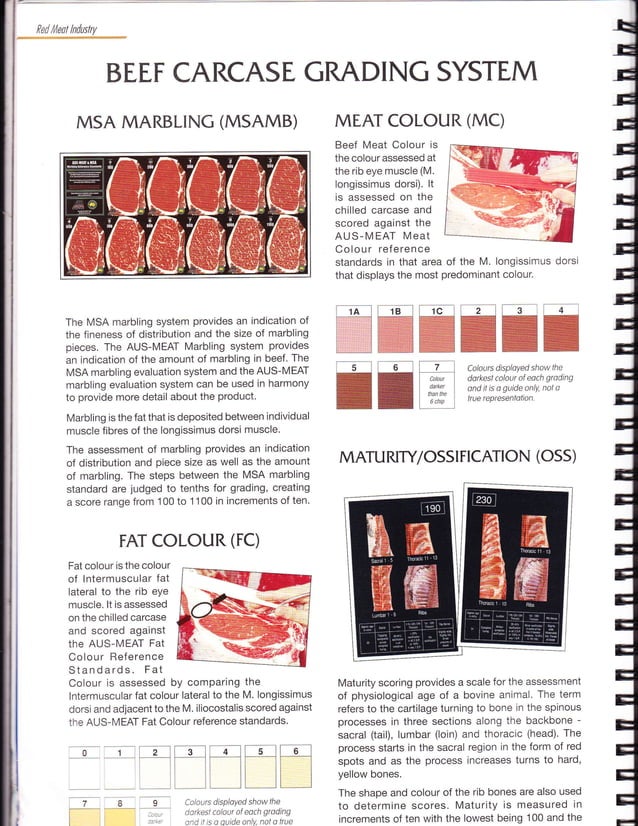 Ausmeat Handbook Australian Meat PDF