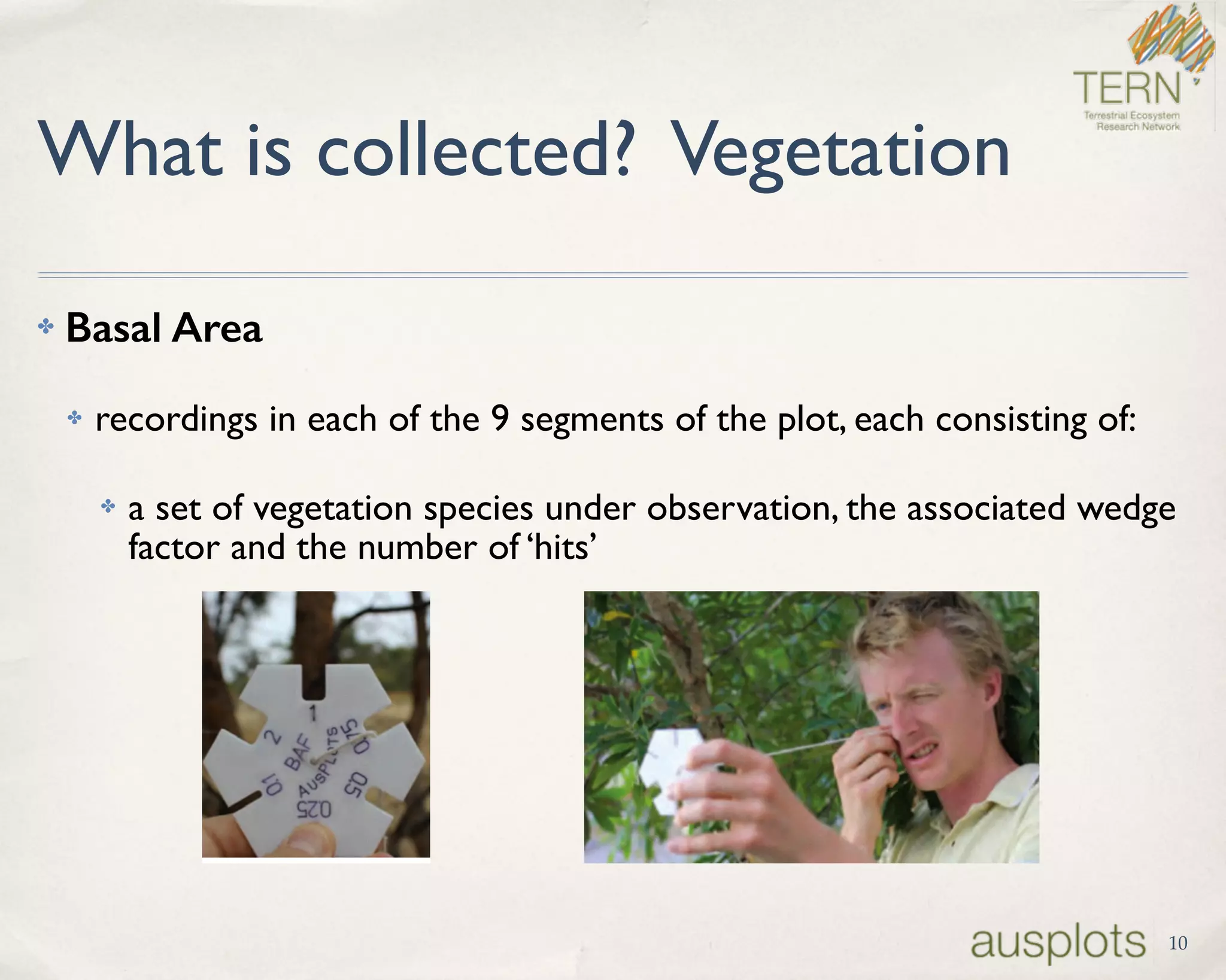 ✤ Basal Area
✤ recordings in each of the 9 segments of the plot, each consisting of:
✤ a set of vegetation species under observation, the associated wedge
factor and the number of ‘hits’
What is collected? Vegetation
10
 
