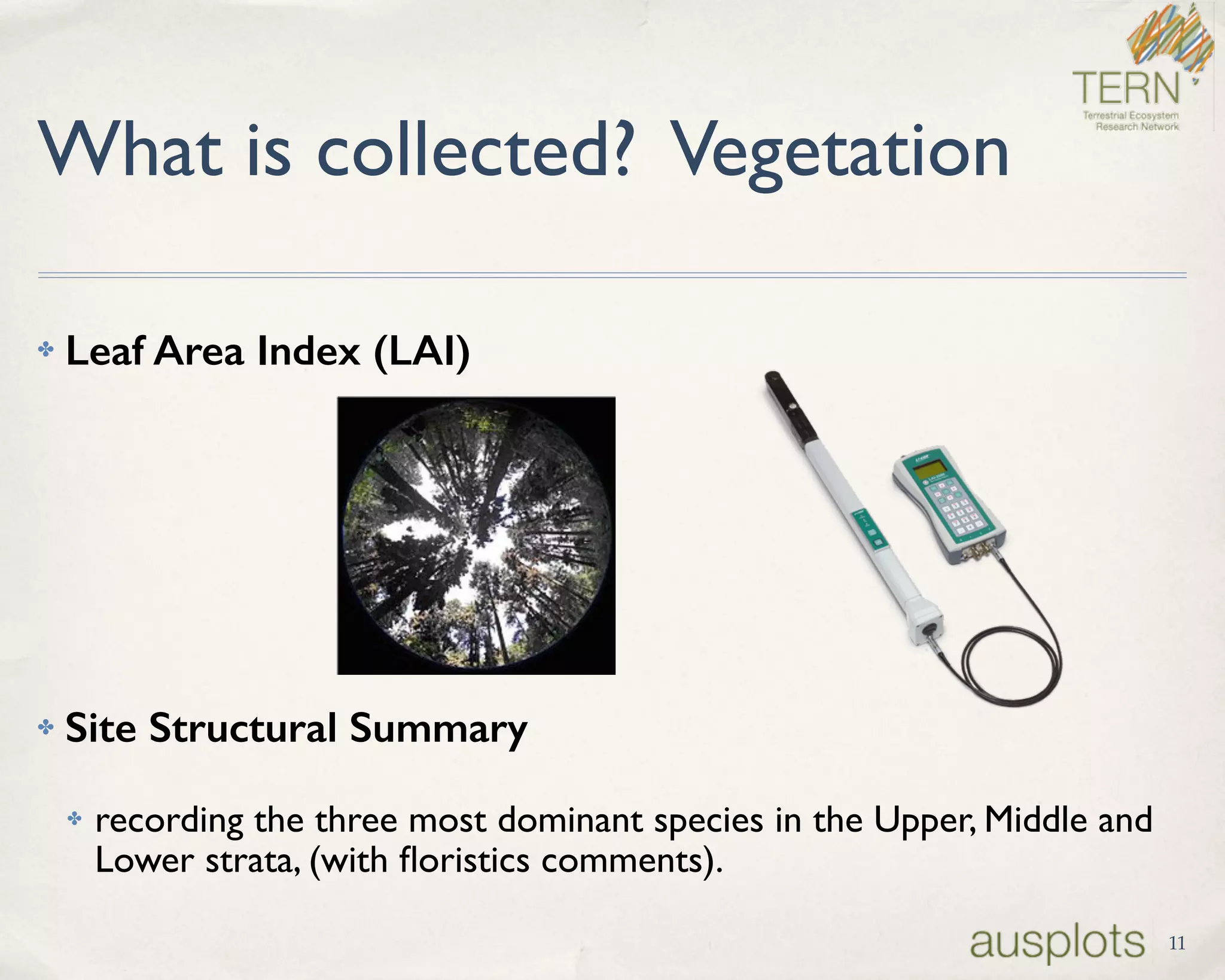 What is collected? Vegetation
✤ Leaf Area Index (LAI)
✤ Site Structural Summary
✤ recording the three most dominant species in the Upper, Middle and
Lower strata, (with ﬂoristics comments).
11
 