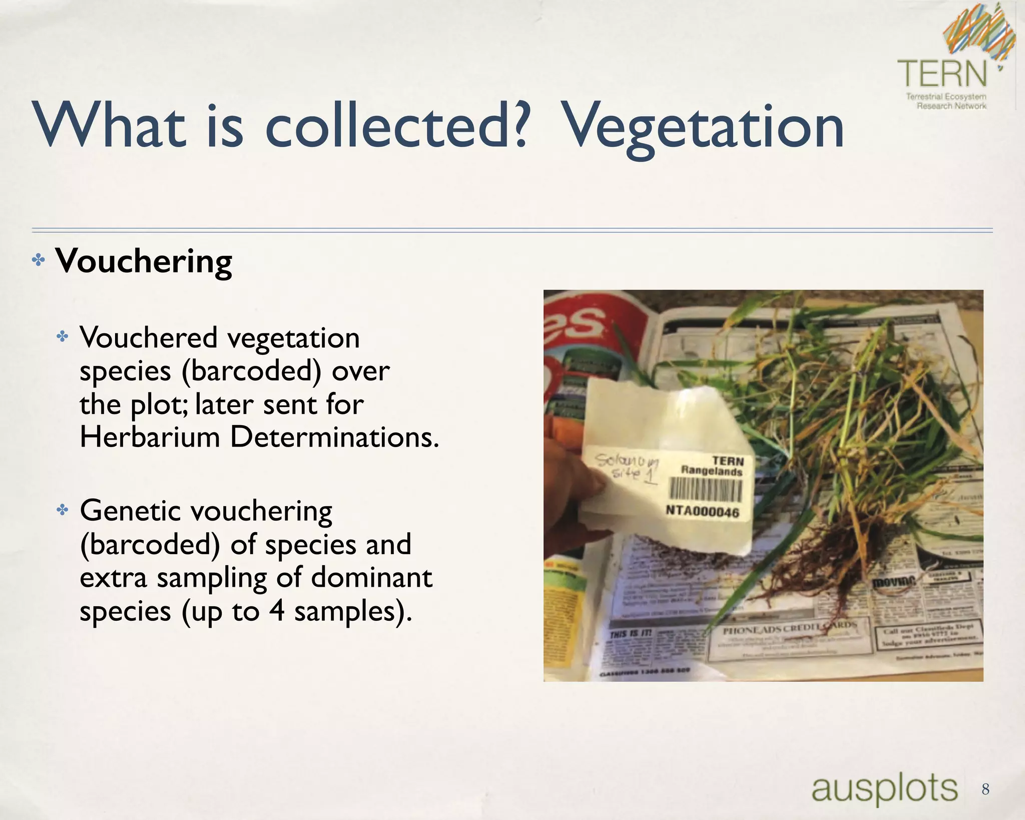 What is collected? Vegetation
✤ Vouchering
✤ Vouchered vegetation 
species (barcoded) over  
the plot; later sent for  
Herbarium Determinations.
✤ Genetic vouchering  
(barcoded) of species and  
extra sampling of dominant  
species (up to 4 samples).
8
 