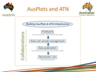 AusPlots and ATN
 