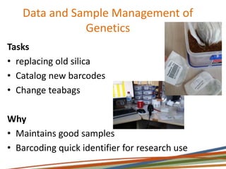 Data and Sample Management of
Genetics
Tasks
• replacing old silica
• Catalog new barcodes
• Change teabags
Why
• Maintains good samples
• Barcoding quick identifier for research use
 