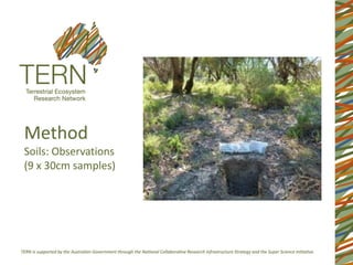 MethodSoils: Observations (9 x 30cm samples)  