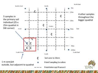 ¢ 
¢ 
¢ 
¢ 
¢ 
¢ ¢ 
¢ ¢ 
¢ 
Soil core to 30cm 
1 m core/pit 
outside, but adjacent to quadrat 
5 samples in the primary soil individual (25 x 25m quadrat in SW corner) 
4 other samples throughout the bigger quadrat  