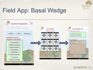 Field App: Basal Wedge 
42  