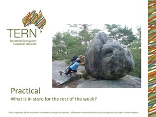 PracticalWhat is in store for the rest of the week?  