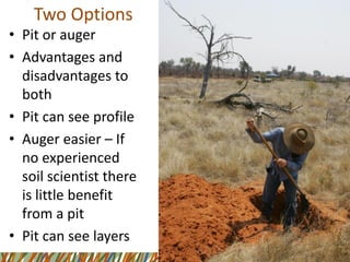 Two Options 
•Pit or auger 
•Advantages and disadvantages to both 
•Pit can see profile 
•Auger easier –If no experienced soil scientist there is little benefit from a pit 
•Pit can see layers  