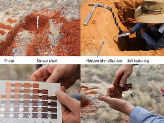 PhotoColour chartHorizon identificationSoil texturing  