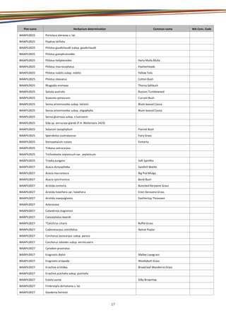 17
Plot name Herbarium determination Common name WA Cons. Code
WAAPIL0025 Portulaca oleracea s. lat.
WAAPIL0025 Psydrax latifolia
WAAPIL0025 Ptilotus gaudichaudii subsp. gaudichaudii
WAAPIL0025 Ptilotus gomphrenoides
WAAPIL0025 Ptilotus helipteroides Hairy Mulla Mulla
WAAPIL0025 Ptilotus macrocephalus Featherheads
WAAPIL0025 Ptilotus nobilis subsp. nobilis Yellow Tails
WAAPIL0025 Ptilotus obovatus Cotton Bush
WAAPIL0025 Rhagodia eremaea Thorny Saltbush
WAAPIL0025 Salsola australis Russian Tumbleweed
WAAPIL0025 Scaevola spinescens Currant Bush
WAAPIL0025 Senna artemisioides subsp. helmsii Blunt-leaved Cassia
WAAPIL0025 Senna artemisioides subsp. oligophylla Blunt-leaved Cassia
WAAPIL0025 Senna glutinosa subsp. x luerssenii
WAAPIL0025 Sida sp. verrucose glands (F.H. Mollemans 2423)
WAAPIL0025 Solanum lasiophyllum Flannel Bush
WAAPIL0025 Sporobolus australasicus Fairy Grass
WAAPIL0025 Stenopetalum nutans Enmerta
WAAPIL0025 Tribulus astrocarpus
WAAPIL0025 Trichodesma zeylanicum var. zeylanicum
WAAPIL0025 Triodia pungens Soft Spinifex
WAAPIL0027 Acacia dictyophleba Sandhill Wattle
WAAPIL0027 Acacia macraneura Big Pod Mulga
WAAPIL0027 Acacia synchronicia Bardi Bush
WAAPIL0027 Aristida contorta Bunched Kerosene Grass
WAAPIL0027 Aristida holathera var. holathera Erect Kerosene Grass
WAAPIL0027 Aristida inaequiglumis Feathertop Threeawn
WAAPIL0027 Asteraceae
WAAPIL0027 Calandrinia stagnensis
WAAPIL0027 Calocephalus beardii
WAAPIL0027 *Cenchrus ciliaris Buffel Grass
WAAPIL0027 Codonocarpus cotinifolius Native Poplar
WAAPIL0027 Corchorus lasiocarpus subsp. parvus
WAAPIL0027 Corchorus sidoides subsp. vermicularis
WAAPIL0027 Cynodon prostratus
WAAPIL0027 Eragrostis dielsii Mallee Lovegrass
WAAPIL0027 Eragrostis eriopoda Woollybutt Grass
WAAPIL0027 Eriachne aristidea Broad-leaf Wanderrie Grass
WAAPIL0027 Eriachne pulchella subsp. pulchella
WAAPIL0027 Eulalia aurea Silky Browntop
WAAPIL0027 Fimbristylis dichotoma s. lat.
WAAPIL0027 Goodenia forrestii
 