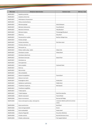 18
Plot name Herbarium determination Common name WA Cons. Code
WAAPIL0027 Goodenia prostrata
WAAPIL0027 Goodenia vilmoriniae
WAAPIL0027 Heliotropium chrysocarpum
WAAPIL0027 Hibiscus brachychlaenus
WAAPIL0027 Maireana georgei Satiny Bluebush
WAAPIL0027 Maireana melanocoma Pussy Bluebush
WAAPIL0027 Maireana tomentosa Felty Bluebush
WAAPIL0027 Maireana triptera Threewinged Bluebush
WAAPIL0027 Olearia sp. Daisy Bush
WAAPIL0027 Paraneurachne muelleri Northern Mulga Grass
WAAPIL0027 Pluchea dunlopii
WAAPIL0027 Pluchea tetranthera Pink Plains-bush
WAAPIL0027 Portulaca oleracea s. lat.
WAAPIL0027 Pterocaulon sp.
WAAPIL0027 Ptilotus nobilis subsp. nobilis Yellow Tails
WAAPIL0027 Sclerolaena cuneata Yellow Bindii
WAAPIL0027 Sclerolaena deserticola
WAAPIL0027 Sclerolaena lanicuspis Spinach Burr
WAAPIL0027 Sclerolaena sp.
WAAPIL0027 Senna glutinosa
WAAPIL0027 Senna notabilis Cockroach Bush
WAAPIL0027 Senna sp.
WAAPIL0027 Sida arsiniata
WAAPIL0027 Sida cardiophylla
WAAPIL0027 Solanum lasiophyllum Flannel Bush
WAAPIL0027 Solanum morrisonii
WAAPIL0027 Streptoglossa odora Smelly Bush
WAAPIL0027 Stylobasium spathulatum Pebble Bush
WAAPIL0027 Trianthema triquetrum Red Spinach
WAAPIL0027 Trianthema turgidifolia
WAAPIL0027 Triodia epactia
WAAPIL0027 Triodia longiceps Giant Grey Spinifex
WAAPIL0028 Abutilon oxycarpum Flannel Weed
WAAPIL0028 Acacia incurvaneura Narrow-leaf Mulga
WAAPIL0028 Acacia sclerosperma subsp. sclerosperma Limestone Wattle (preferred common
name)
WAAPIL0028 Acacia synchronicia Bardi Bush
WAAPIL0028 Acacia tetragonophylla Kurara
WAAPIL0028 Acacia xiphophylla Snake-wood
WAAPIL0028 Amyema fitzgeraldii Pincushion Mistletoe
WAAPIL0028 Aristida contorta Bunched Kerosene Grass
WAAPIL0028 Atriplex codonocarpa Flat-topped Saltbush
 