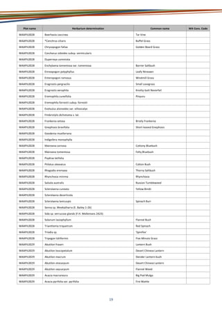 19
Plot name Herbarium determination Common name WA Cons. Code
WAAPIL0028 Boerhavia coccinea Tar Vine
WAAPIL0028 *Cenchrus ciliaris Buffel Grass
WAAPIL0028 Chrysopogon fallax Golden Beard Grass
WAAPIL0028 Corchorus sidoides subsp. vermicularis
WAAPIL0028 Duperreya commixta
WAAPIL0028 Enchylaena tomentosa var. tomentosa Barrier Saltbush
WAAPIL0028 Enneapogon polyphyllus Leafy Nineawn
WAAPIL0028 Enteropogon ramosus Windmill Grass
WAAPIL0028 Eragrostis pergracilis Small Lovegrass
WAAPIL0028 Eragrostis xerophila Knotty-butt Neverfail
WAAPIL0028 Eremophila cuneifolia Pinyuru
WAAPIL0028 Eremophila forrestii subsp. forrestii
WAAPIL0028 Evolvulus alsinoides var. villosicalyx
WAAPIL0028 Fimbristylis dichotoma s. lat.
WAAPIL0028 Frankenia setosa Bristly Frankenia
WAAPIL0028 Gnephosis brevifolia Short-leaved Gnephosis
WAAPIL0028 Goodenia muelleriana
WAAPIL0028 Indigofera monophylla
WAAPIL0028 Maireana carnosa Cottony Bluebush
WAAPIL0028 Maireana tomentosa Felty Bluebush
WAAPIL0028 Psydrax latifolia
WAAPIL0028 Ptilotus obovatus Cotton Bush
WAAPIL0028 Rhagodia eremaea Thorny Saltbush
WAAPIL0028 Rhynchosia minima Rhynchosia
WAAPIL0028 Salsola australis Russian Tumbleweed
WAAPIL0028 Sclerolaena cuneata Yellow Bindii
WAAPIL0028 Sclerolaena deserticola
WAAPIL0028 Sclerolaena lanicuspis Spinach Burr
WAAPIL0028 Senna sp. Meekatharra (E. Bailey 1-26)
WAAPIL0028 Sida sp. verrucose glands (F.H. Mollemans 2423)
WAAPIL0028 Solanum lasiophyllum Flannel Bush
WAAPIL0028 Trianthema triquetrum Red Spinach
WAAPIL0028 Triodia sp. 'Spinifex'
WAAPIL0028 Tripogon loliiformis Five Minute Grass
WAAPIL0029 Abutilon fraseri Lantern Bush
WAAPIL0029 Abutilon leucopetalum Desert Chinese Lantern
WAAPIL0029 Abutilon macrum Slender Lantern-bush
WAAPIL0029 Abutilon otocarpum Desert Chinese Lantern
WAAPIL0029 Abutilon oxycarpum Flannel Weed
WAAPIL0029 Acacia macraneura Big Pod Mulga
WAAPIL0029 Acacia pyrifolia var. pyrifolia Fire Wattle
 