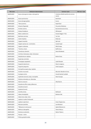 20
Plot name Herbarium determination Common name WA Cons. Code
WAAPIL0029 Acacia sclerosperma subsp. sclerosperma Limestone Wattle (preferred common
name)
WAAPIL0029 Acacia synchronicia Bardi Bush
WAAPIL0029 Acacia tetragonophylla Kurara
WAAPIL0029 *Aerva javanica Kapok Bush
WAAPIL0029 Amyema fitzgeraldii Pincushion Mistletoe
WAAPIL0029 Aristida contorta Bunched Kerosene Grass
WAAPIL0029 Atalaya hemiglauca Whitewood
WAAPIL0029 Bidens subalternans Greater Beggar's Ticks
WAAPIL0029 Boerhavia coccinea Tar Vine
WAAPIL0029 Calotis hispidula Bindy Eye
WAAPIL0029 Capparis lasiantha Split Jack
WAAPIL0029 Capparis spinosa var. nummularia Coastal Caper
WAAPIL0029 Capparis umbonata Wild Orange
WAAPIL0029 *Cenchrus ciliaris Buffel Grass
WAAPIL0029 Convolvulus clementii Desert Bindweed
WAAPIL0029 Corchorus lasiocarpus subsp. lasiocarpus
WAAPIL0029 Dactyloctenium radulans Button Grass
WAAPIL0029 Duperreya commixta
WAAPIL0029 Enneapogon polyphyllus Leafy Nineawn
WAAPIL0029 Eragrostis desertorum Desert Lovegrass
WAAPIL0029 Eragrostis pergracilis Small Lovegrass
WAAPIL0029 Eremophila youngii subsp. lepidota 4
WAAPIL0029 Eriachne mucronata Mountain Wanderrie Grass
WAAPIL0029 Eucalyptus victrix Smooth-barked coolibah
WAAPIL0029 Euphorbia tannensis subsp. eremophila Desert Spurge
WAAPIL0029 Evolvulus alsinoides var. villosicalyx
WAAPIL0029 Glycine canescens Silky Glycine
WAAPIL0029 Gomphrena affinis subsp. pilbarensis
WAAPIL0029 Gomphrena kanisii
WAAPIL0029 Goodenia forrestii
WAAPIL0029 Grevillea striata Beefwood
WAAPIL0029 Hakea chordophylla Bootlace Oak
WAAPIL0029 Hakea lorea subsp. lorea
WAAPIL0029 Lepidium muelleri-ferdinandii
WAAPIL0029 Lepidium oxytrichum Green Peppercress
WAAPIL0029 Maireana planifolia Low Bluebush
WAAPIL0029 *Malvastrum americanum Spiked Malvastrum
WAAPIL0029 Melhania oblongifolia Velvet Hibiscus
WAAPIL0029 Nicotiana occidentalis Native Tobacco
WAAPIL0029 Poaceae - sterile
WAAPIL0029 Ptilotus gomphrenoides
 