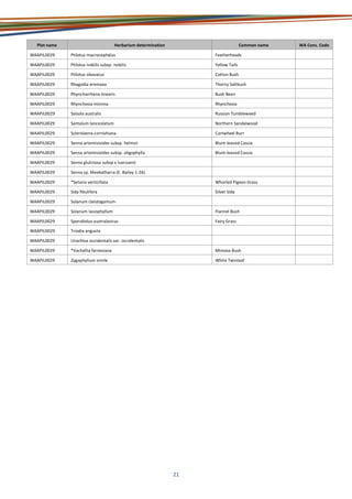 21
Plot name Herbarium determination Common name WA Cons. Code
WAAPIL0029 Ptilotus macrocephalus Featherheads
WAAPIL0029 Ptilotus nobilis subsp. nobilis Yellow Tails
WAAPIL0029 Ptilotus obovatus Cotton Bush
WAAPIL0029 Rhagodia eremaea Thorny Saltbush
WAAPIL0029 Rhyncharrhena linearis Bush Bean
WAAPIL0029 Rhynchosia minima Rhynchosia
WAAPIL0029 Salsola australis Russian Tumbleweed
WAAPIL0029 Santalum lanceolatum Northern Sandalwood
WAAPIL0029 Sclerolaena cornishiana Cartwheel Burr
WAAPIL0029 Senna artemisioides subsp. helmsii Blunt-leaved Cassia
WAAPIL0029 Senna artemisioides subsp. oligophylla Blunt-leaved Cassia
WAAPIL0029 Senna glutinosa subsp x luerssenii
WAAPIL0029 Senna sp. Meekatharra (E. Bailey 1-26)
WAAPIL0029 *Setaria verticillata Whorled Pigeon Grass
WAAPIL0029 Sida fibulifera Silver Sida
WAAPIL0029 Solanum cleistogamum
WAAPIL0029 Solanum lasiophyllum Flannel Bush
WAAPIL0029 Sporobolus australasicus Fairy Grass
WAAPIL0029 Triodia angusta
WAAPIL0029 Urochloa occidentalis var. occidentalis
WAAPIL0029 *Vachellia farnesiana Mimosa Bush
WAAPIL0029 Zygophyllum simile White Twinleaf
 