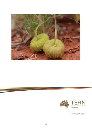 22
www.ausplots.org.au
 