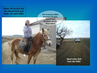 Sassi ritt zurück auf den Bauernhof und holte von dort Hilfe! Nach einer Zeit kam die Hilfe! Wir brauchen Hilfe! Kommen Sie bitte schnell nach Rechnitz auf den Bauernhof! 