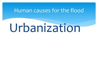 Urbanization
Human causes for the flood
 